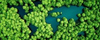 Sustainable as standard
