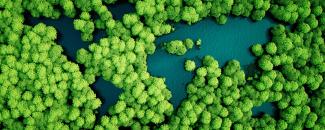 Sustainable as standard