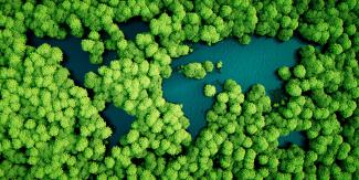 Sustainability as standard