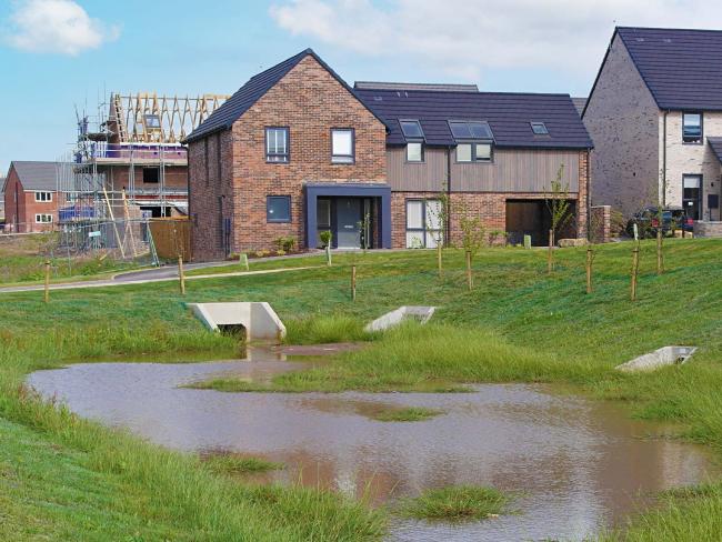 Sustainable Urban Drainage systems