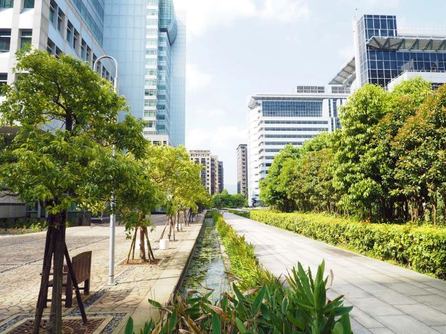 Landscaping and tree planting
